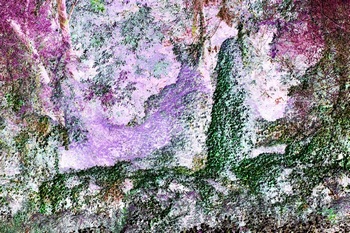 N 069F